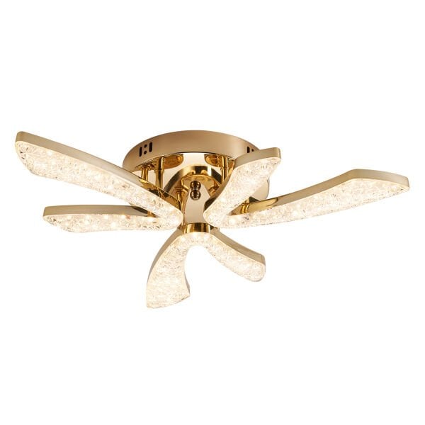 Quinn 6'lı Gold 48 Watt Plafonyer 3 Renkli Led Avize