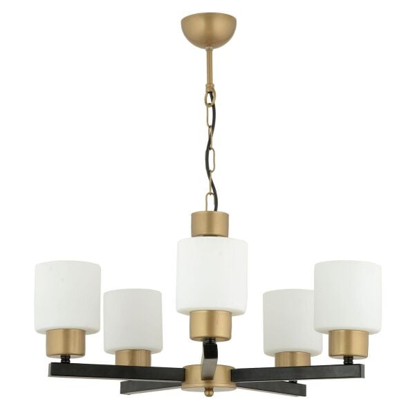 Jade 5 Li Avize Eskitme Siyah Boyalı Beyaz Camlı Modern Genç Odası Yatak Odası Retro Salon Avize