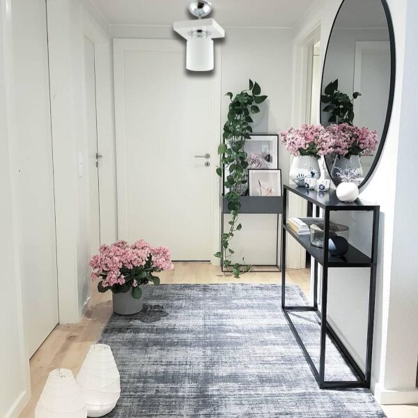 Kiaria Tekli Modern Plafonyer Genç Odası MutfakYatak Odası Avize