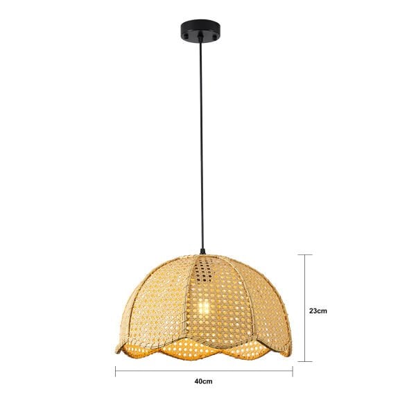 Alvise Tekli Hazeran Model Rattan Modern Tasarım Oturma Odası Avize